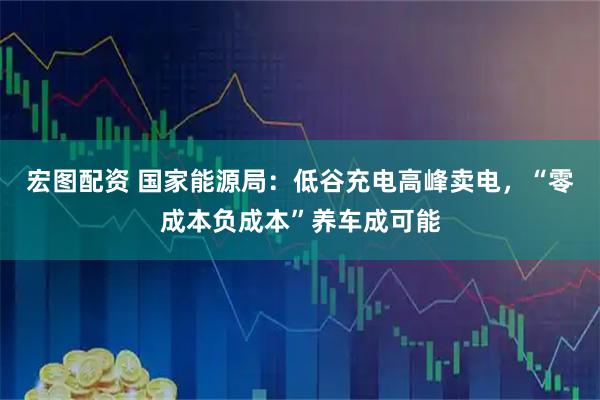 宏图配资 国家能源局：低谷充电高峰卖电，“零成本负成本”养车成可能