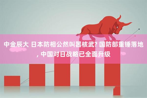 中金辰大 日本防相公然叫嚣核武? 国防部重锤落地, 中国对日战略已全面升级